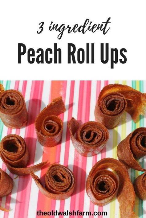 Fruit Roll Ups Homemade, Homemade Fruit Roll Ups, Water Bath Cooking, Scratch Cooking, Fruit Roll, Fruit Leather, Perfect Peach, Fruit Roll Ups, Healthy Snack Options