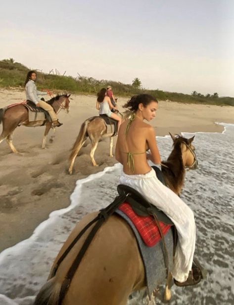 The Beach Aesthetic, Horse Trails, Beach Aesthetic, Horseback Riding, Summer Aesthetic, The Beach, Horses, Horse Riding