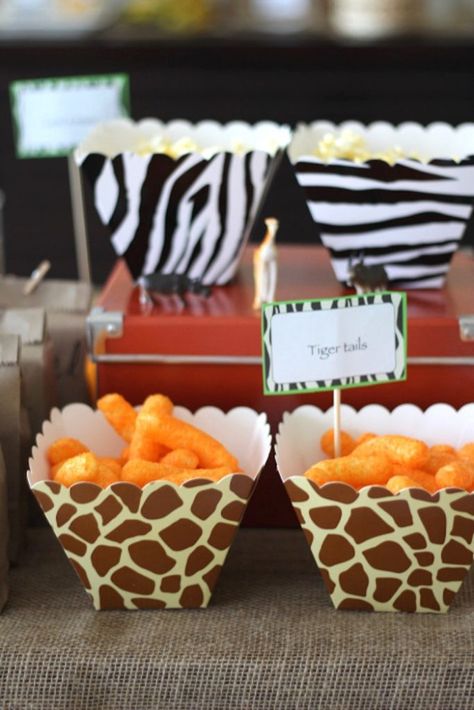 Kara's Party Ideas Mod Jungle Safari Birthday Party | Kara's Party Ideas Adult Safari Party, Safari Shower Ideas, Photo Wall Backdrop, Safari Party Foods, Safari Snacks, Safari Food, Jungle Safari Birthday Party, Jungle Safari Cake, Jungle Vines