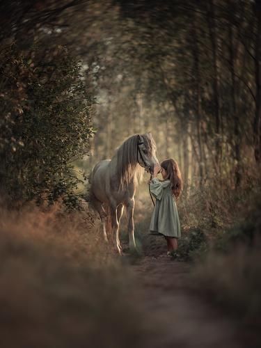 Pferd und Mädchen Horse Photoshoot Ideas, Equine Photography Poses, Equine Photoshoot, Pictures With Horses, Toddler Pictures, Lake Photoshoot, Cute Horse Pictures, Horse Photo, Horse Videos