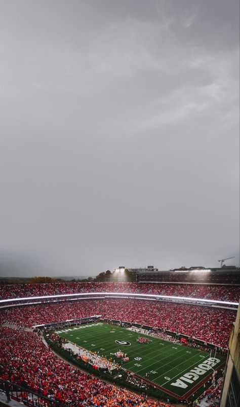 Georgia Iphone Wallpaper, Ugh Wallpaper, Georgia Football Wallpaper, Georgia Bulldogs Wallpaper, Georgia Wallpaper, Bulldog Wallpaper, Georgia Bulldawgs, American Football Uniforms, Uga Football