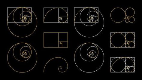 Fibonacci Sequence Circle. Golden ratio. Geometric shapes spiral. Snail spiral. Sea shell of metallic circles. Sacred geometry logo template. Logarithmic sequences. Vector isolated on black background 12805868 Vector Art at Vecteezy Harmony Composition, Fibonacci Circle, Golden Ratio In Nature, Fibonacci Spiral Art, Golden Ratio Spiral, Golden Ratio Logo, Fibonacci Tattoo, Fibonacci Golden Ratio, Divine Proportion