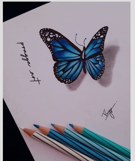 How to Draw a Realistic Butterfly
Realistic Butterfly Drawing
Realistic Butterfly Sketch
Realistic Butterfly Art
3d Butterfly Drawing
3d Butterfly Sketch
3d Butterfly Art
Colourfull Butterfly Drawing 3d Butterfly Drawing, Pencil Colour Drawing, Drawing Butterfly, Butterfly Art Drawing, Colour Drawing, Butterfly 3d, 3d Butterfly, Butterfly Drawing, 3d Butterflies