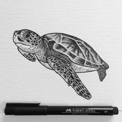 Turtle Ink Drawing, See Turtle Drawing, Sea Turtle Tattoo Realistic Black And Grey, Turtle Pencil Drawing, Green Turtle Tattoo, Loggerhead Sea Turtle Tattoo, Turtle Sketch Pencil Drawings, Sea Turtle Tattoo Realistic, Realistic Turtle Tattoo