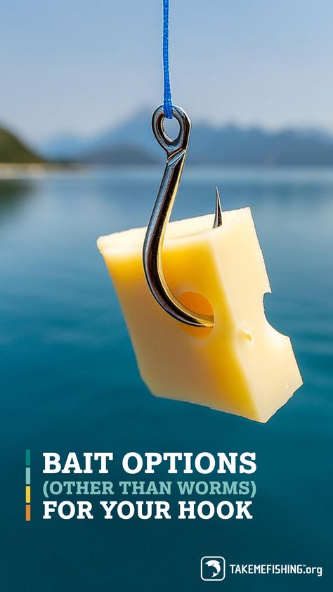 Worms are not the only bait that can be used to catch fish. Find out what else you can use, including items from the fridge to catch fish: How To Bait A Hook, Fishing Hacks, Bass Bait, Diy Fishing Lures, Diy Fishing, Fish Bait, Lakefront Property, Live Bait, Fishing Diy