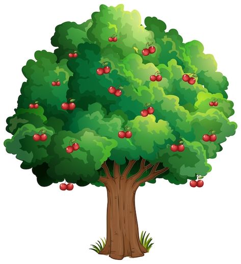 Free vector cherry tree isolated on whit... | Free Vector #Freepik #freevector #food-tree #fruit-tree #cartoon-tree #tree-clipart Cherry Fruit Tree, Sour Cherry Tree, Free Cartoon Characters, Painting Teacher, Fruit Clipart, Cartoon Trees, Tree Clipart, Cool Skateboards, Cityscape Photos