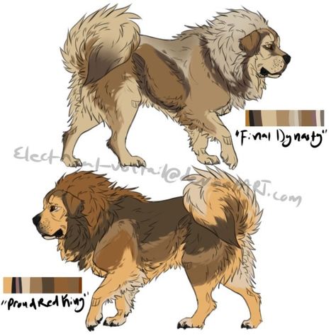 Tibetan Mastiff Illustration, Tibetan Mastiff Drawing, Tibetan Mastiff Art, Russian Bear Dog, Big Fluffy Dogs, Dog Design Art, Dog Drawings, Canine Drawing, Giant Animals