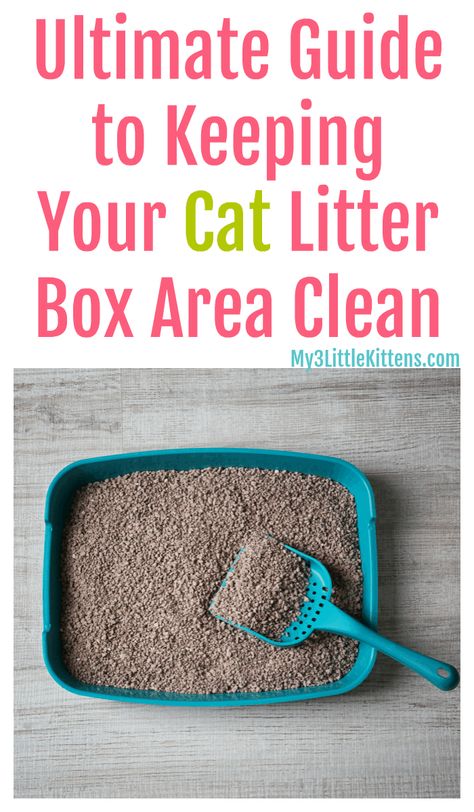 Ultimate Guide to Keeping Your Cat Litter Box Area Clean. These tips for your kitty are cat friendly and easy! Cat Liter, Best Litter Box, Litter Tracking, Liter Box, Cat Area, Best Cat Litter, Cleaning Litter Box, Tidy Cats, Cat Litter Mat