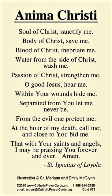 Anima Christi Prayer, Anima Christi, Prayer For Our Children, Prayer Catholic, Catholic Prayers Daily, Catholic Doctrine, Catholic Beliefs, Missionary Work, Powerful Scriptures