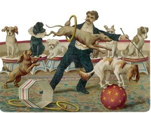 dog hoops Dogs Jumping, Images Of Dogs, Dog Training Books, Puppy House, Have Fun Teaching, Circus Poster, Victorian Scrap, Evil Clowns, Dog Poster