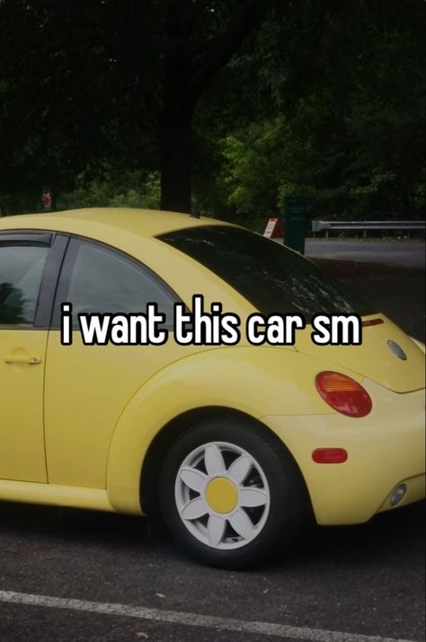 Daisy Rims, Vw Bug Interior, Punch Buggy, Beetle Volkswagen, Volkswagen Beetles, Volkswagen Beetle Convertible, Bug Car, Animal Crossing Memes, Car Deco