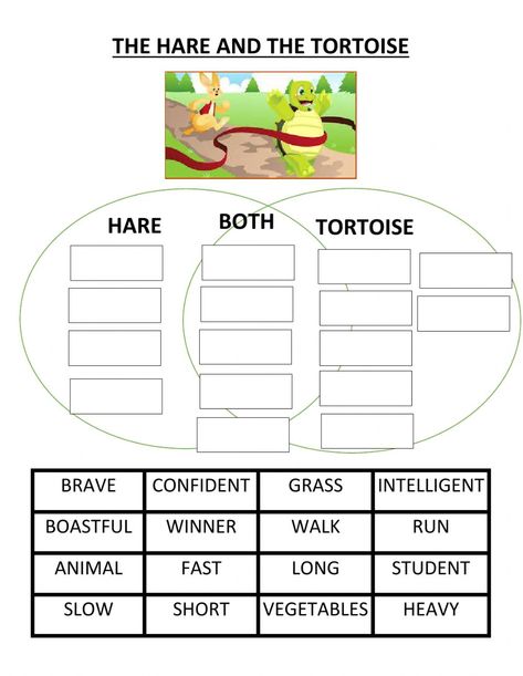 The Hare and the Tortoise The Hare And The Tortoise Activities, The Hare And The Tortoise Story, Tortoise And The Hare Activities, Cause And Effect Worksheet, Hare And Tortoise, Cause And Effect Worksheets, The Hare And The Tortoise, Hare And The Tortoise, Centers Preschool