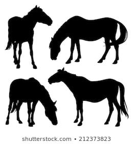 Horse Drawing Tutorial, Grazing Horse, Horse Grazing, Horses Grazing, Horse Brushes, Horse Quilt, Silhouette Photos, Silhouette Images, Farm Art