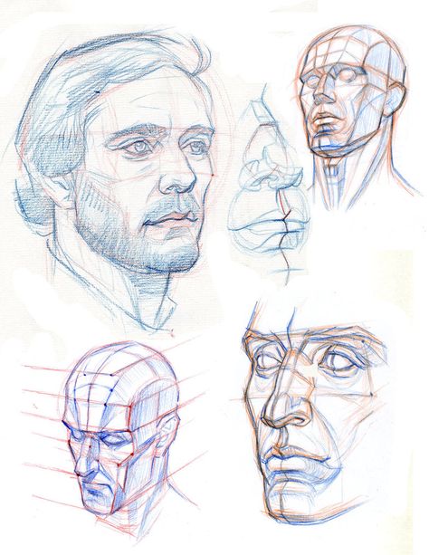 Head Sketches, Planes Of The Face, Face Anatomy, 얼굴 드로잉, Drawing Heads, Human Anatomy Drawing, 얼굴 그리기, Anatomy Sketches, Kunst Inspiration