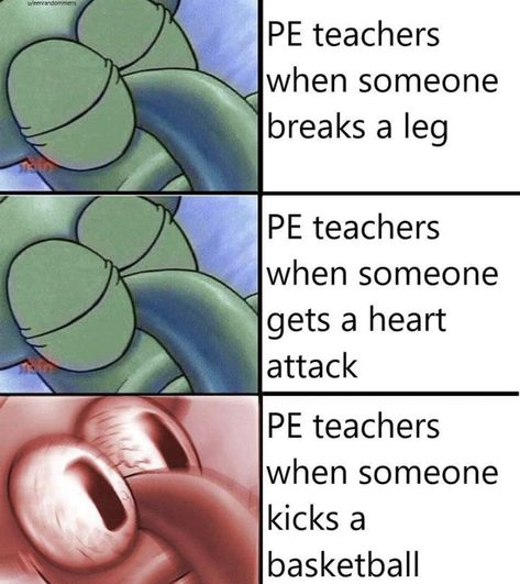 Funny Turtles, Spongebob Face, Meme Meme, Crush Memes, Spongebob Funny, Real Funny, Spongebob Memes, School Memes, 웃긴 사진