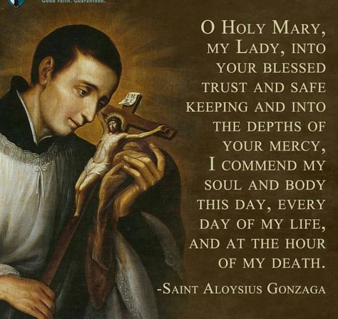 St Aloysius Gonzaga, St Aloysius, Childhood Memories Quotes, Saint Quotes Catholic, Daily Reflections, Mama Mary, Pictures Of Jesus Christ, Gods Word, Blessed Mother Mary