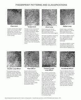 Types of fingerprints Types Of Fingerprints, Federal Bureau Of Investigation, Forensic Anthropology, Forensic Scientist, Girl Scouts Cadettes, Forensic Science, Girl Scout Juniors, Mind Body Connection, Personality Test