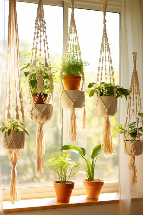 Top Plants for Ceiling Hanging: Care and Selection Tips - Quiet Minimal Small Corner Decor, Box Gardens, Hanging Planter Ideas, Macrame Hanging Basket, Wall Hanging Decorations, Indoor Plant Wall, Macrame Planter, Hanging Plant Wall, Plants Wall