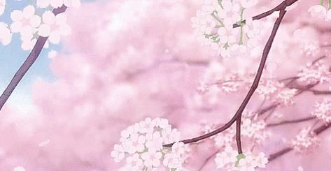 Anime Sakura GIF - Anime Sakura Tree - Discover  Share GIFs Sakura Aesthetic, Sakura Tree, Anime Gifs, Banner Gif, Anime Gifts, Kuroko No Basket, Anime Aesthetic, Aesthetic Gif, Desktop Wallpapers