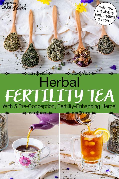 Fertility Herbs, Boosting Fertility, Herbs For Fertility, Fertility Tea, Fertility Boosters, Nourish Yourself, Red Raspberry Leaf, Tonic Recipe, Fertility Health