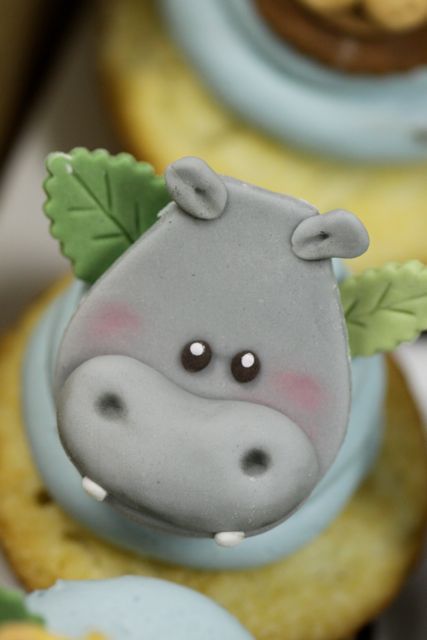 . Rhino Cupcakes, Hippo Cupcakes, Hippo Cake, Hippo Birthday, Baby Hippopotamus, Fondant Ideas, Decorated Cupcakes, Kid Cupcakes, Jungle Cake