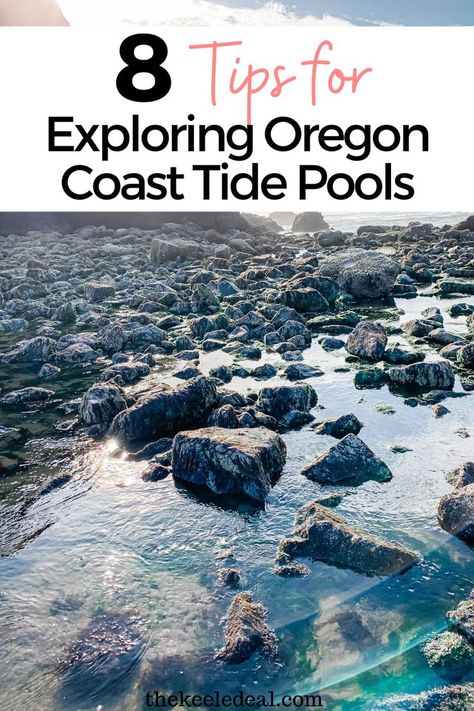 8 Tips for exploring Oregon Coast Tide Pools. Where to find Tide Pools and tips for being safe and having fun while exploring on the beach. Exploring Oregon, Oregon Coast Roadtrip, Rockaway Beach Oregon, Oregon Coast Vacation, United States Road Trip, Oregon Beach, Visit Oregon, Southern Oregon Coast, Explore Oregon