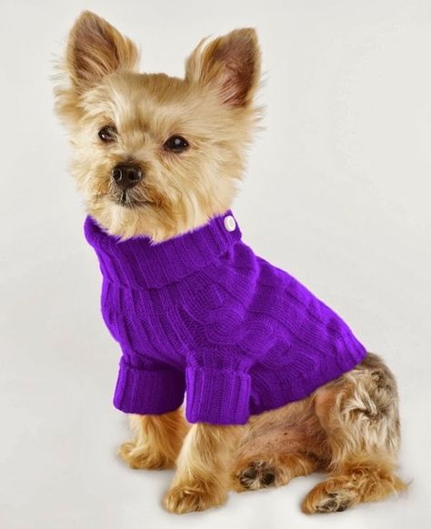 Pet Sweaters, Crochet Dog Sweater, Knit Dog Sweater, Dog Jumpers, Dog Clothing, Pet Fashion, Dog Wear, Crochet Dog, Dog Sweaters