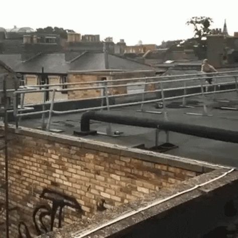 Life Well Lived, Free Running, Parkour, Animated Gif, Cool Gifs, Funny Dogs, Cool Photos, Funny Gif, Gif