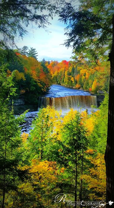 Tahquamenon Falls State Park, upper Peninsula Michigan Tahquamenon Falls, Upper Peninsula Michigan, Marble Falls, Upper Peninsula, Autumn Painting, Pure Michigan, Vacation Places, Scenic Landscape, State Park