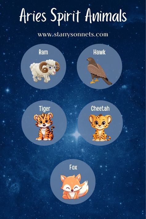 Infographic about Aries Spirit Animals including Ram, Hawk, Tiger, Cheetah and Fox. Aries Spirit Animal, Aries Animal, April Magick, Shadow Work Spiritual, Aries Personality, Aries Ram, Spiritual Animal, Signs Astrology, The Cheetah