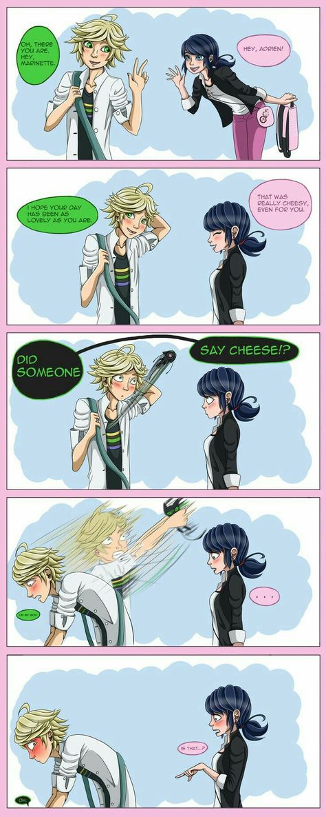 Adrien And Marinette, Ladybug Und Cat Noir, Mlb Comics, Marinette Et Adrien, Dj Art, Cat Puns, Ladybug And Cat Noir, Miraculous Ladybug Oc, Miraculous Wallpaper