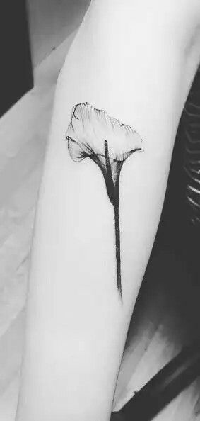 X-ray Lily Blatt Tattoos, Tiger Lily Tattoos, Henne Tattoo, Lillies Tattoo, Lily Tattoo Design, Lily Flower Tattoos, 100 Tattoo, Tattoo Zeichnungen, Inspiration Tattoos