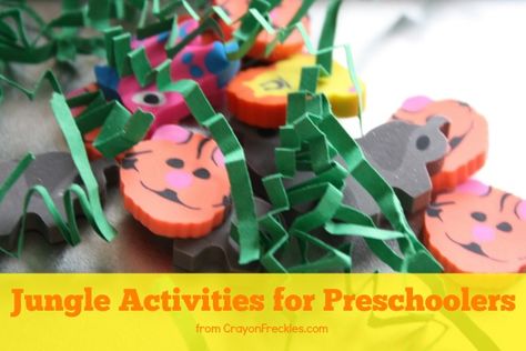 Jungle Activities for Preschoolers from CrayonFreckles.com Jungle Fine Motor Activities, Jungle Math Activities Preschool, Jungle Themed Gross Motor Activities, Science Jungle Activities, Jungle Circle Time Activities, Jungle Activities, Playgroup Activities, Animal Erasers, Rumble In The Jungle