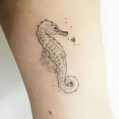 Explore the 12 Best seahorse Tattoo Ideas (2018) • Tattoodo Delicate Shark Tattoo, Seahorse Tattoo Ideas, Seahorse Tattoos, Seahorse Tattoo, Shark Tattoo, Next Tattoo, Ankle Tattoo, Tattoos For Men, An Artist