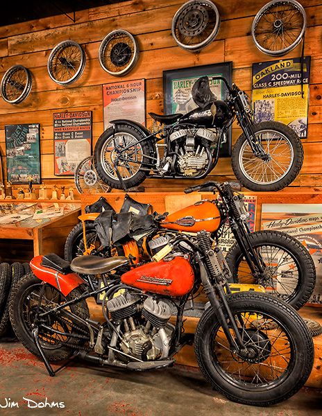 Harley Aesthetic, Harley Race, Мотоциклы Harley Davidson, Image Moto, Vintage Motorcycle Posters, Мотоциклы Cafe Racers, Harley Davidson Fatboy, Old Garage, Harley Davidson Bike