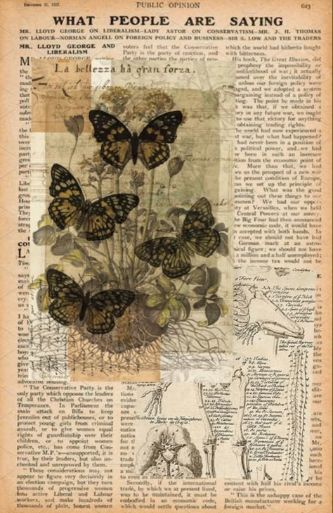 Newspaper Aesthetic Wallpaper, Butterfly Newspaper, Newspaper Aesthetic, Vintage Poster Art, Picture Collage, Collage Wall, Room Posters, Vintage Poster, Wall Collage