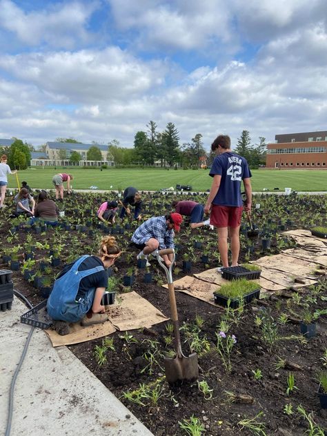 Agricultural Engineering Aesthetic, Agriculture Major Aesthetic, School Grounds Aesthetic, Agricultural Science Aesthetic, Agriculture Student Aesthetic, Horticulture Student Aesthetic, Agronomy Student Aesthetic, Environmental Engineer Aesthetic, Community College Aesthetic