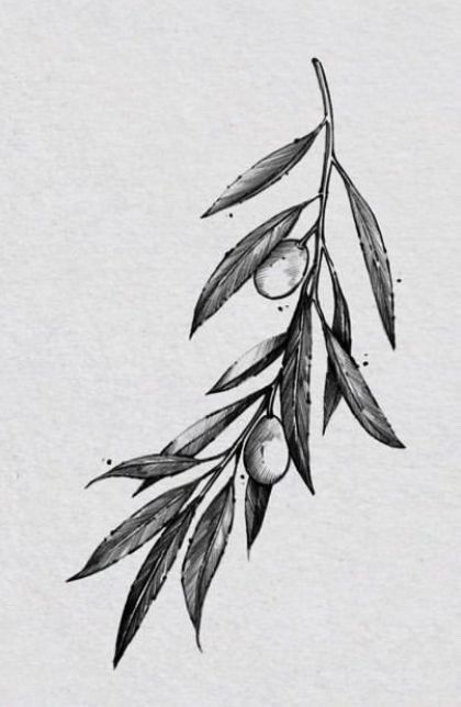 Roman Olive Branch Tattoo, Men Olive Branch Tattoo, Olive Branch Reference, Mens Olive Branch Tattoo, Olive Tree Tattoo Men, Roman Leaves Tattoo, Botanical Tattoo Men, Small Olive Branch Tattoo, Olive Branch Sketch