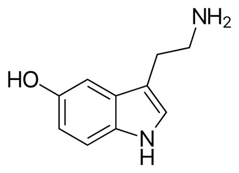 File:Serotonin-2D-skeletal.svg - Wikipedia Serotonin Tattoo, Serotonin Syndrome, Enteric Nervous System, Serotonin Molecule, Natural Sleep Aids, Nerve Cell, Sleep Aid, Adrenal Fatigue, Neuroscience