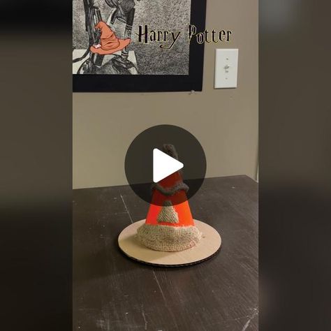 Diy Sorting Hat, Traffic Cone, Sorting Hat, Harry Potter, Rug