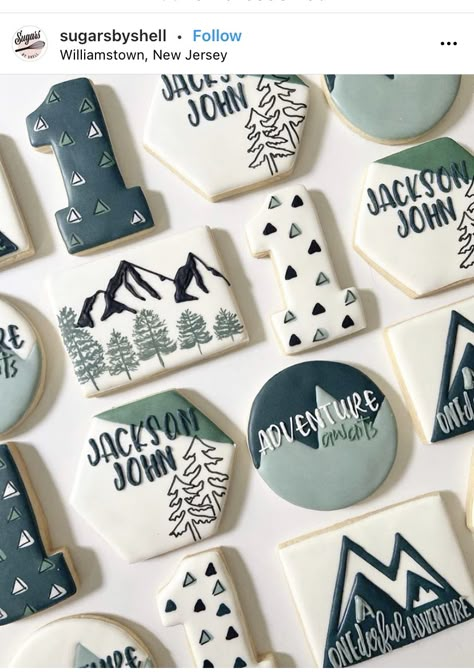 Camping Cookies, Cookie Decorating Icing, No Bake Sugar Cookies, Flooding Cookies, Royal Iced Cookies, Cookie Cake Birthday, Sugar Cookie Royal Icing, Sugar Cookie Designs, Baby Cookies