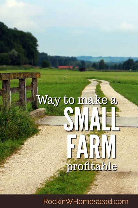 Many people with a pioneering spirit are looking for ways to live on their land and make their small farm profitable. You can #makemoney on your #homestead #smallfarm Homestead Family, Cracker House, Starting A Farm, Modern Homesteading, Homestead Ideas, Farm Plans, Homestead Farm, Farm Layout, Farm Business