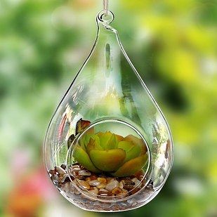 This teardrop terrarium. | 27 Sweet And Cheap Gifts You Can Still Get From Amazon Hanging Terrarium, Plant Terrarium, Types Of Succulents, Globe Ornament, Terrarium Decor, Succulent Care, Artificial Succulents, Succulent Terrarium, Glass Terrarium