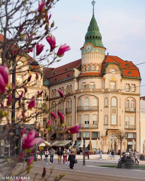 Town Architecture, Villa Apartment, Transylvania Romania, Romania Travel, House Villa, The Balkans, Vintage Architecture, Bucharest Romania, Zadar