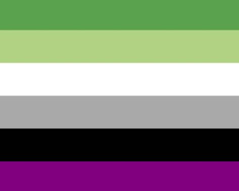 Aromantic/Asexual flag Aromatic Flag, Aroace Flag, Aromantic Flag, Asexual Flag, Say Anything, Random Things, Denmark, Opal, Flag