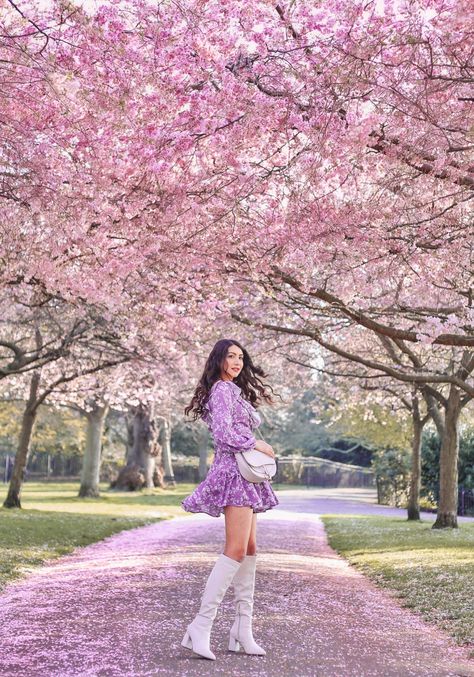 Cherry Blossom Photography Photo Shoot, Photo With Cherry Blossom, Pictures With Cherry Blossoms, Spring Outfits Cherry Blossoms, Pose With Cherry Blossom, Cherry Blossoms Pictures Photo Ideas, Cherry Blossom Picture Ideas, Cherry Blossom Pose Ideas, Outfit For Cherry Blossom Season