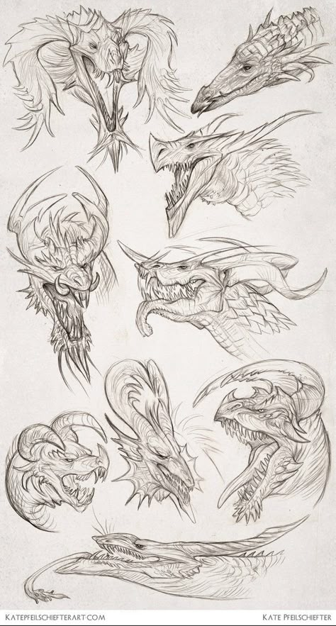 Dragon Anatomy, Dragon Heads, Creature Fantasy, Dragon Sketch, Creatures Art, Artist Sketchbook, Creature Drawings, Desenho Tattoo, Dragon Artwork