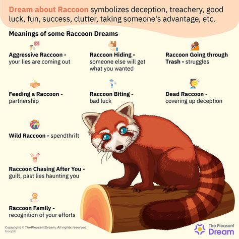 If this mischievous creature appears in your dreams at night, you may notice your subconscious trying to communicate with you through symbols. #raccoonindream #dreamaboutraccoon #raccoondreams #raccoondreams #meaningofraccoondreams #raccoondreamsmeaning #raccoon #dreammeaning #dreaming #dreamsymbolism #thepleasantdream #dreaming #dreams #animalindream Facts About Dreams, Dream Meanings, Symbols And Meanings, Witch Magic, Dream Interpretation, Animal Totems, Psychic Abilities, Tarot Cards, At Night