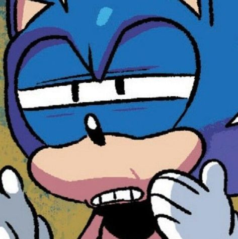 Sonic Idw, Sonic Face, Princesas Disney Anime, Japanese Video Games, Classic Sonic, Sonic Funny, Sonic 3, Image Swag, Sonic Franchise