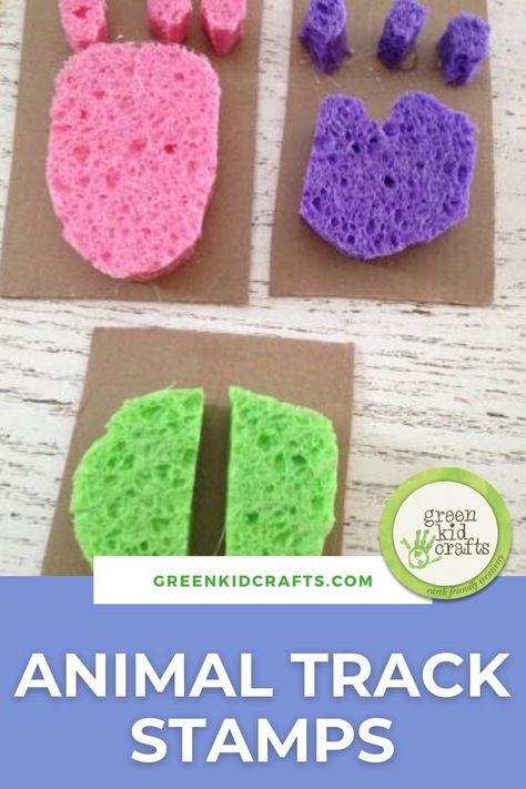 The DIY animal track stamps are a fun and educational project for your animal-loving kids! Sponge Stamps, Free Crafts For Kids, Mammals Activities, Jungle Activities, Planets Activities, Purple Christmas Decorations, Jungle Crafts, Planet Crafts, Safari Activities